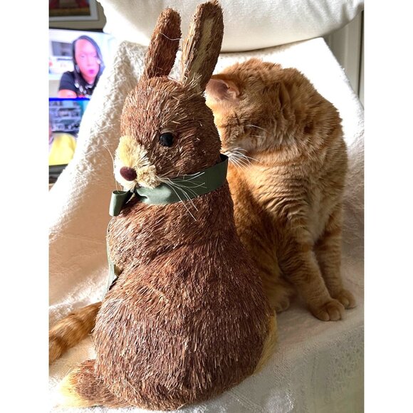 Pier 1 Rustic 12" Decorative Easter Bunny W/Green Ribbon Spring - Picture 5 of 7